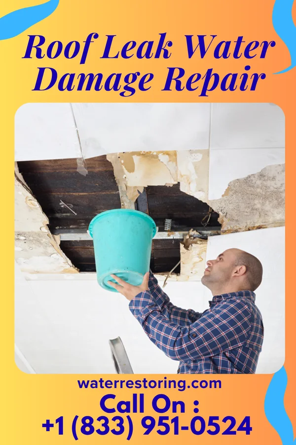 Roof Leak Water Damage Repair in Lecompte, LA
